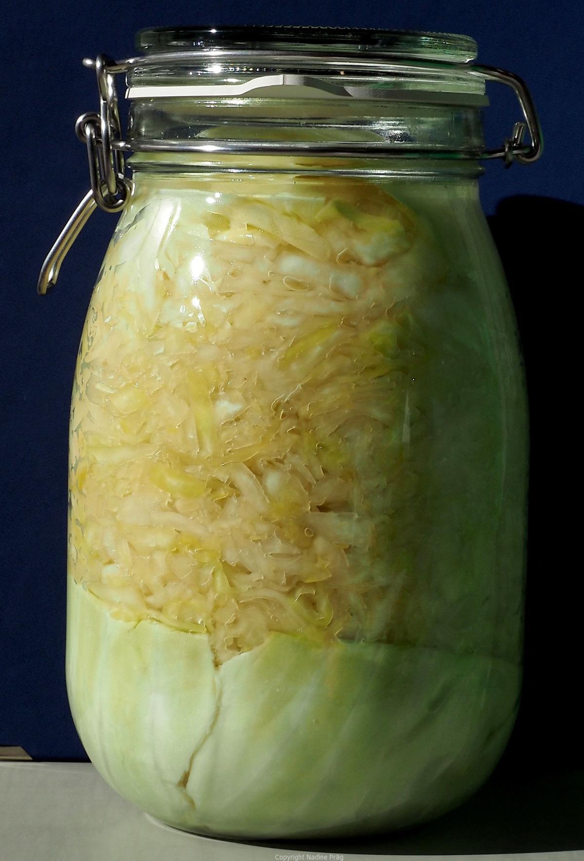 Lebensmittel Mikrobiologie I mikrobalpina