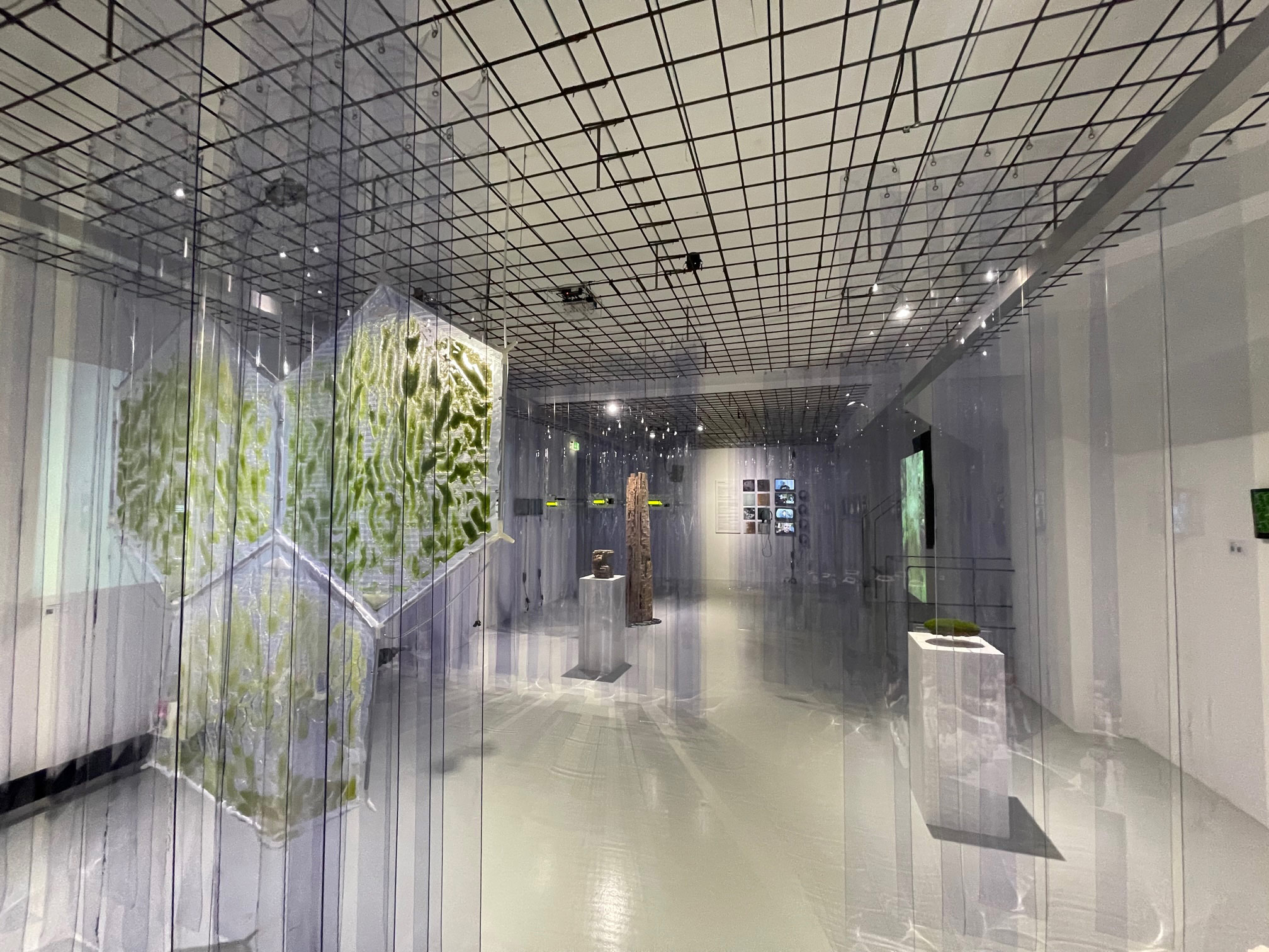 BioLab AUT – Claudia Pasquero, Fotocredit: Judith Ascher-Jenull I Mikrobalpina