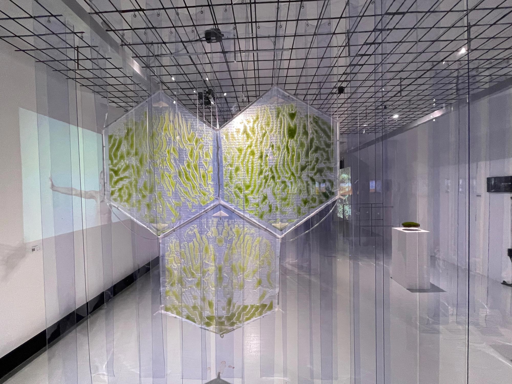 BioLab AUT – Claudia Pasquero, Fotocredit: Judith Ascher-Jenull I Mikrobalpina