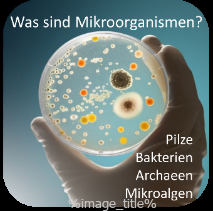 Downloads-005 Downloads-005