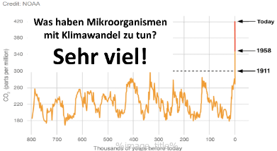 Downloads-010 Downloads-010